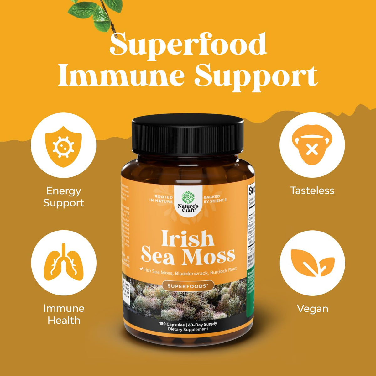 Capsules de mousse de mer Natures Craft sur une surface blanche