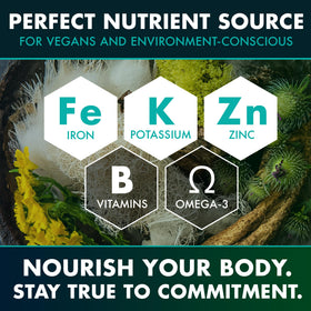 Capsules de Mousse de Mer Secret Element avec ingrédients naturels en arrière-plan