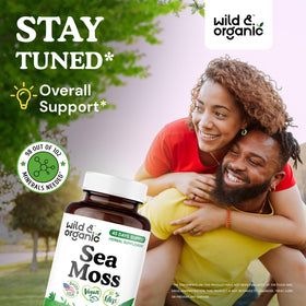 Capsules de mousse de mer Wild & Organic sur une surface en bois