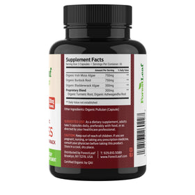 Capsules de mousse irlandaise bio ForestLeaf sur un fond naturel
