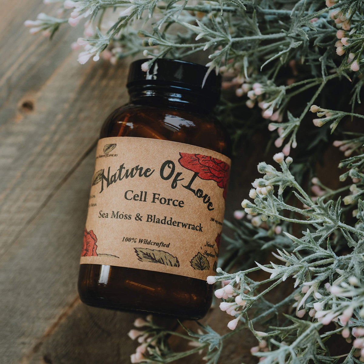 Capsules de mousse irlandaise bio Nature Of Love en flacon