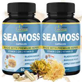 Capsules de mousses maritimes irlandaises Organic Cadane en flacon