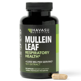 Capsules de Mullein 500mg HAVASU NUTRITION en vue de face