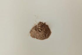 Capsules de Mullein Vitalité Now! en gros plan