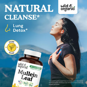 Capsules de mullein Wild & Organic sur une surface blanche