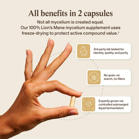 Capsules de Mycélium de Lion sur une table en bois