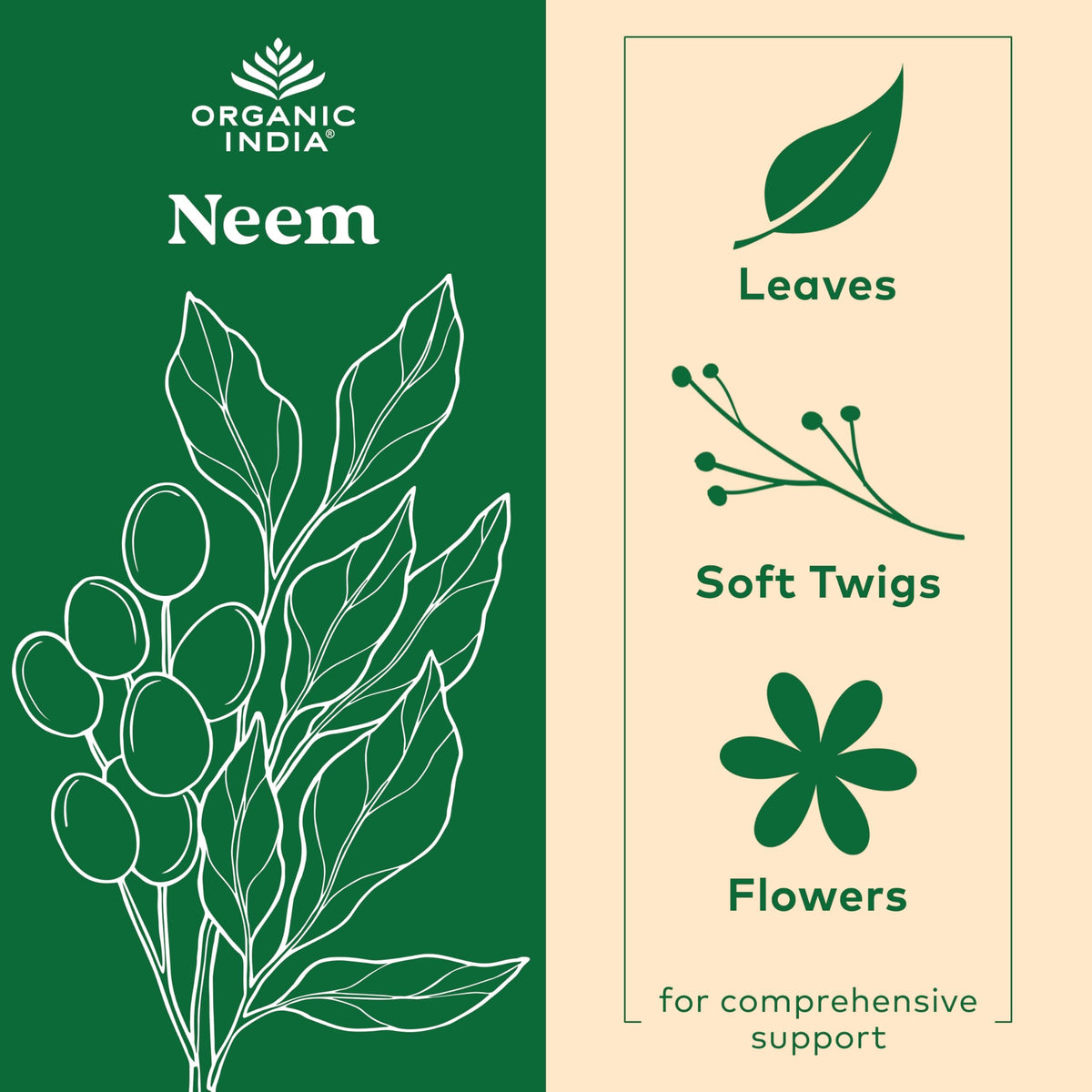 Capsules de neem ORGANIC INDIA sur un fond neutre