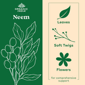 Capsules de neem ORGANIC INDIA sur un fond neutre