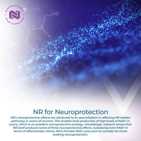 Capsules de nicotinamide riboside Nootropics Depot, vue latérale