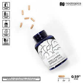 Capsules de Nigelle Sativa 200mg Nootropics Depot, vue de côté