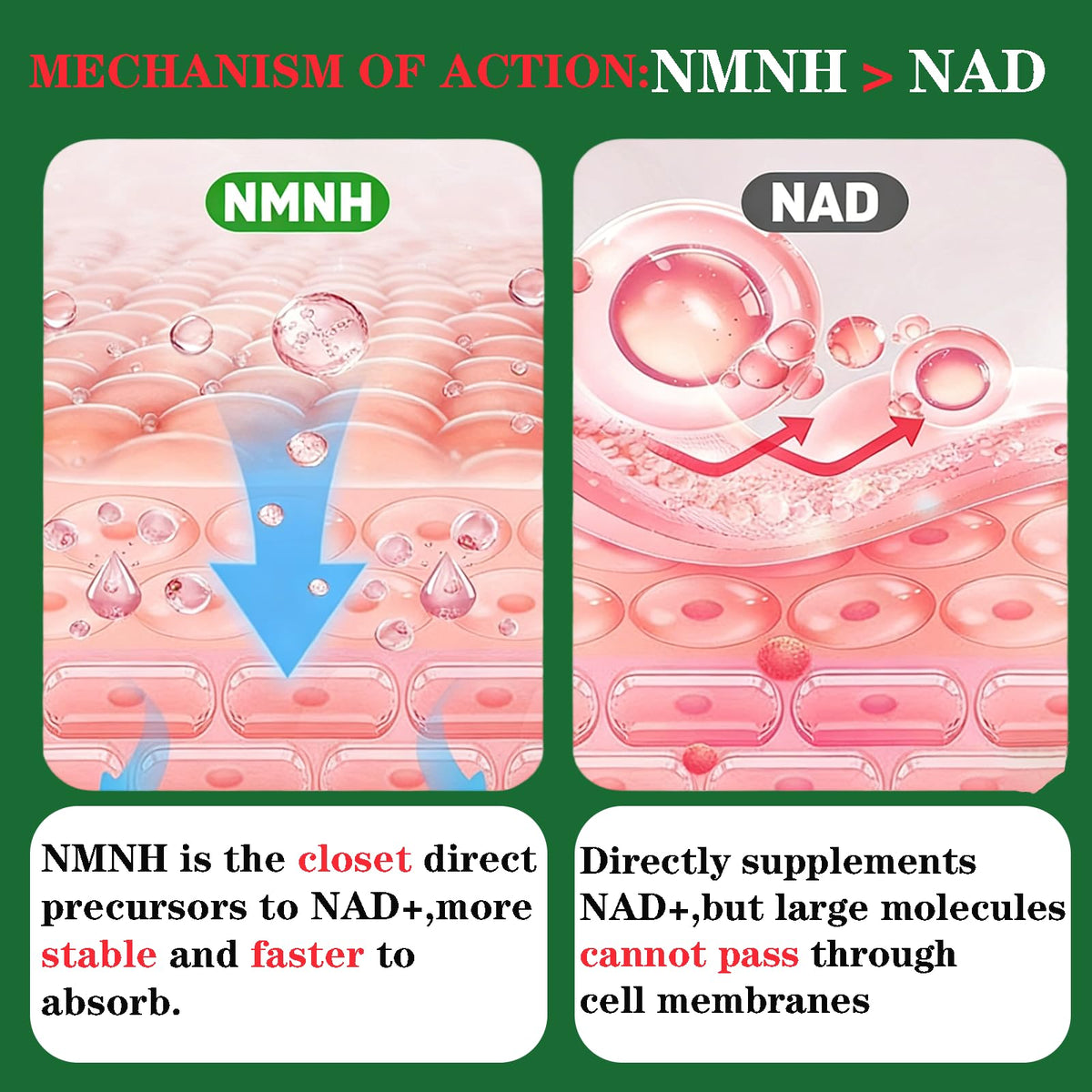 Capsules de NMNH Liposomal GHKALQ sur une surface blanche
