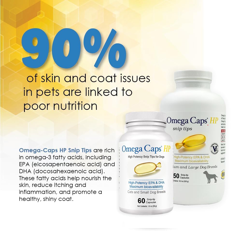 Capsules de OMEGA-CAPS ES Omega-Caps HP sur une surface en bois