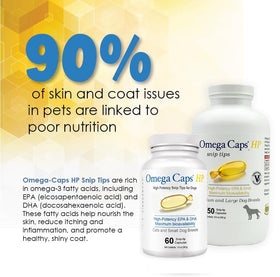 Capsules de OMEGA-CAPS ES Omega-Caps HP sur une surface en bois