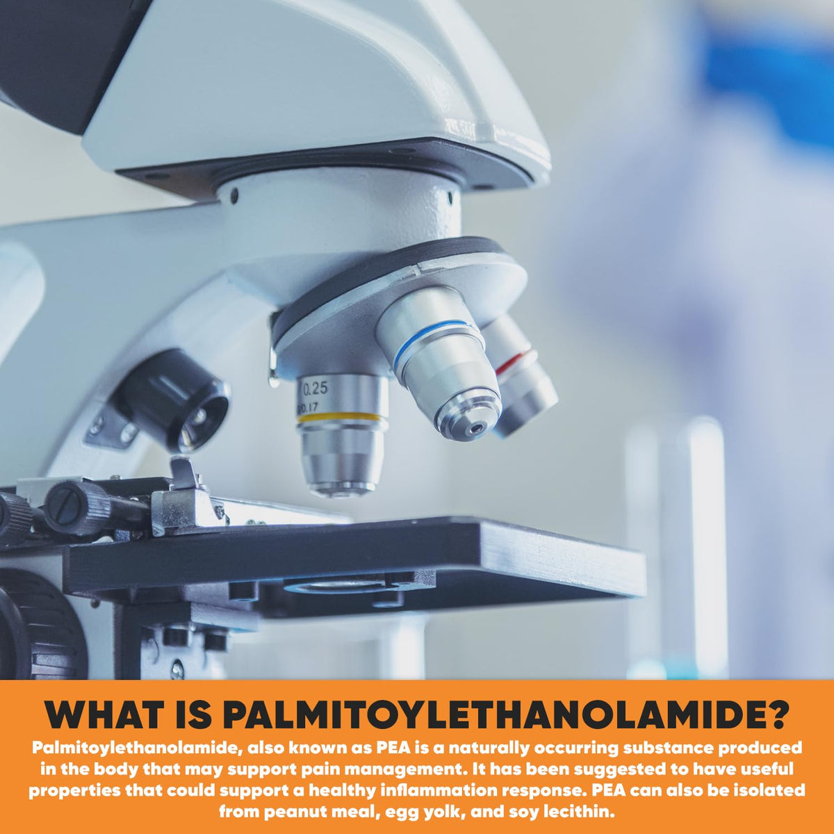 Capsules de Palmitoylethanolamide HARVEST NATURALS - fabriquées aux États-Unis