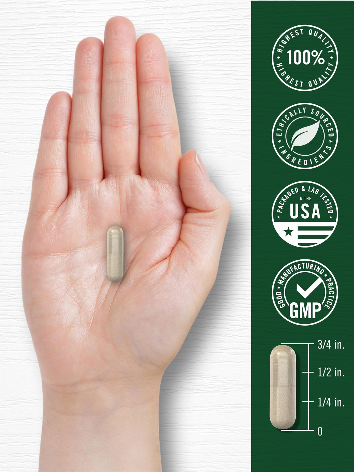 Capsules de Pâquerette Carlyle avec des fleurs de Pâquerette en arrière-plan