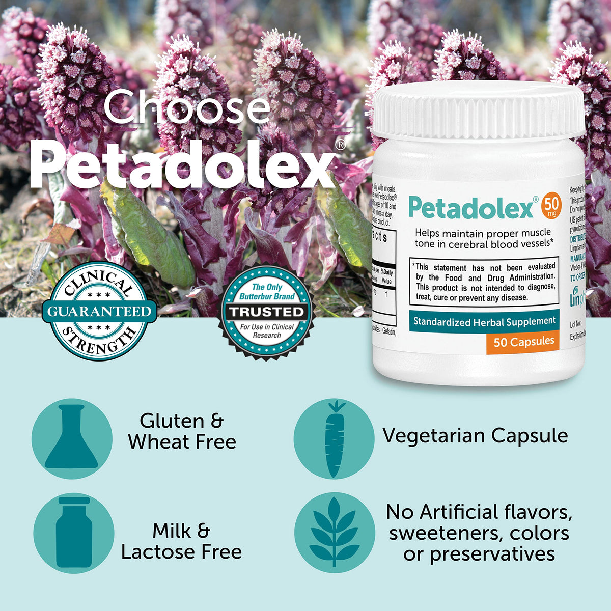 Capsules de Petadolex sur une surface neutre