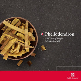 Capsules de Phellostatin Health Concerns sur fond blanc