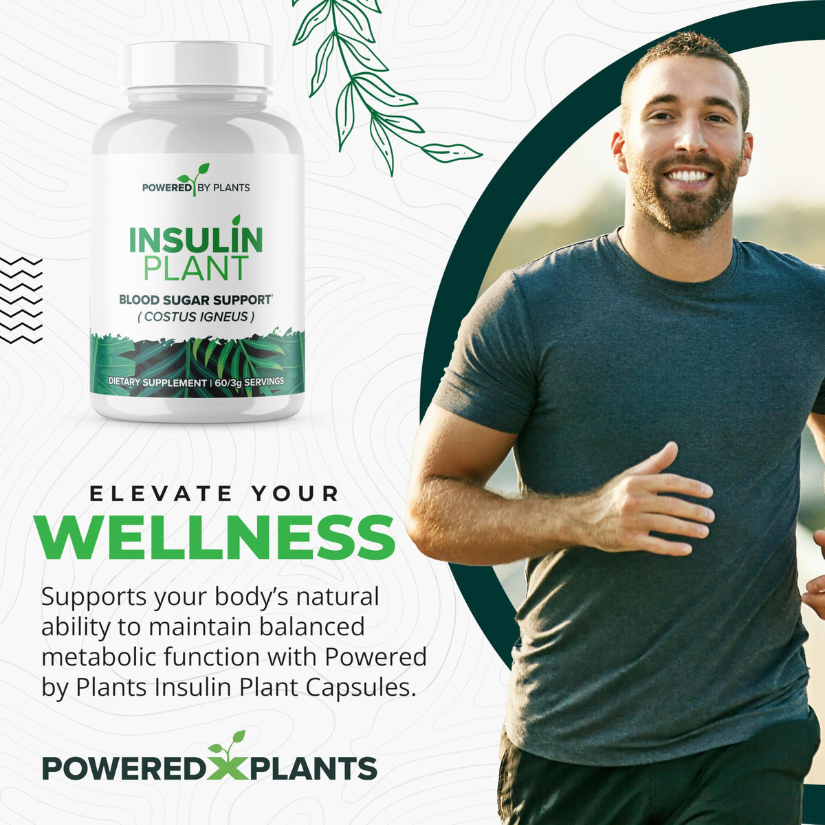 Capsules de plantes insuline 3000mg de couleur verte dans le flacon