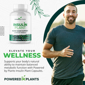Capsules de plantes insuline 3000mg de couleur verte dans le flacon