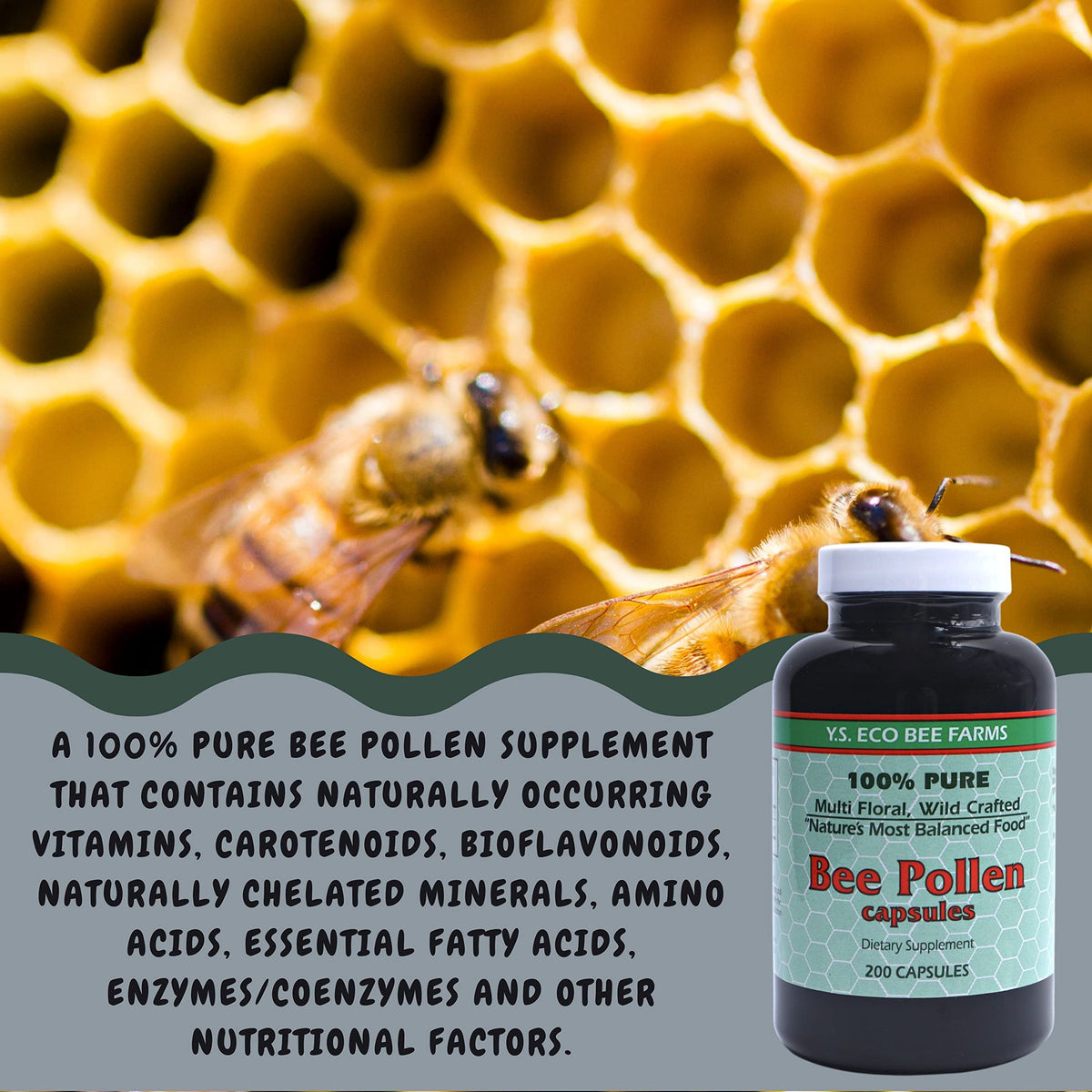 Capsules de pollen d'abeille en gros plan