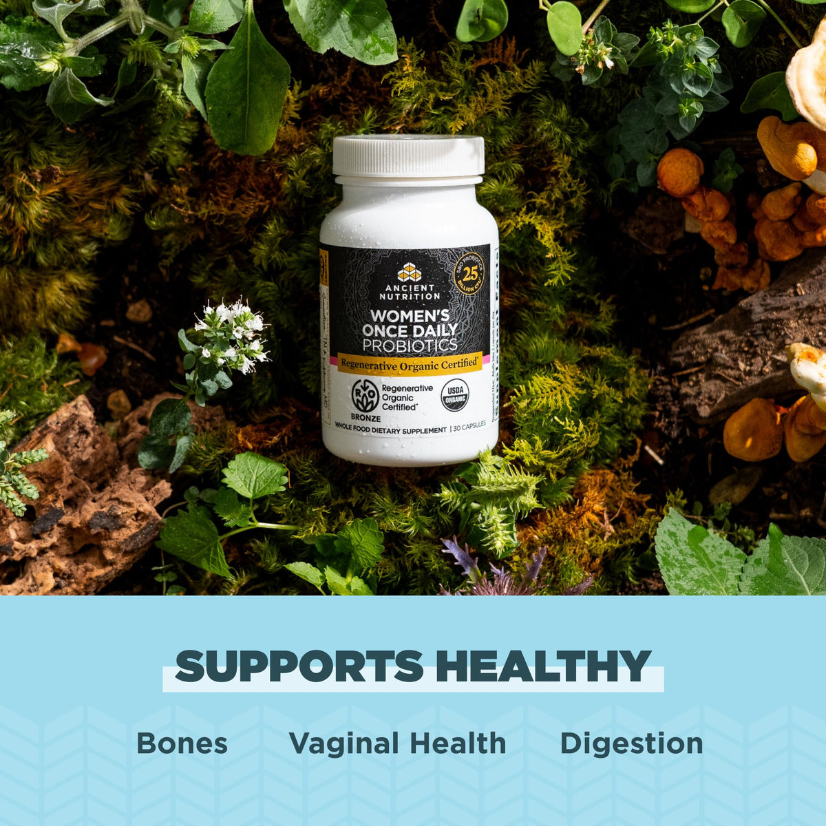 Capsules de Probiotiques Organique Certifié pour Femmes, Ancient Nutrition