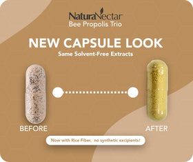 Capsules de Propolis brésiliennes NaturaNectar dans une main