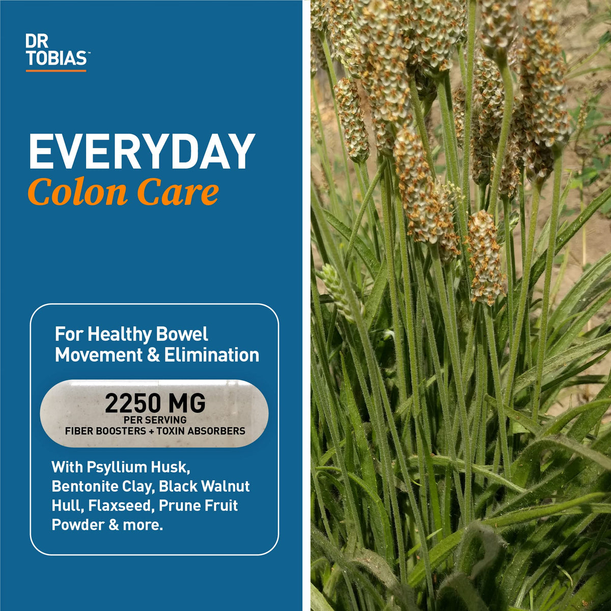 Capsules de psyllium Dr. Tobias sur fond blanc