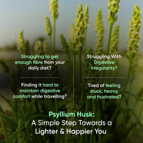 Capsules de psyllium WeightWorld sur une table, vue de près