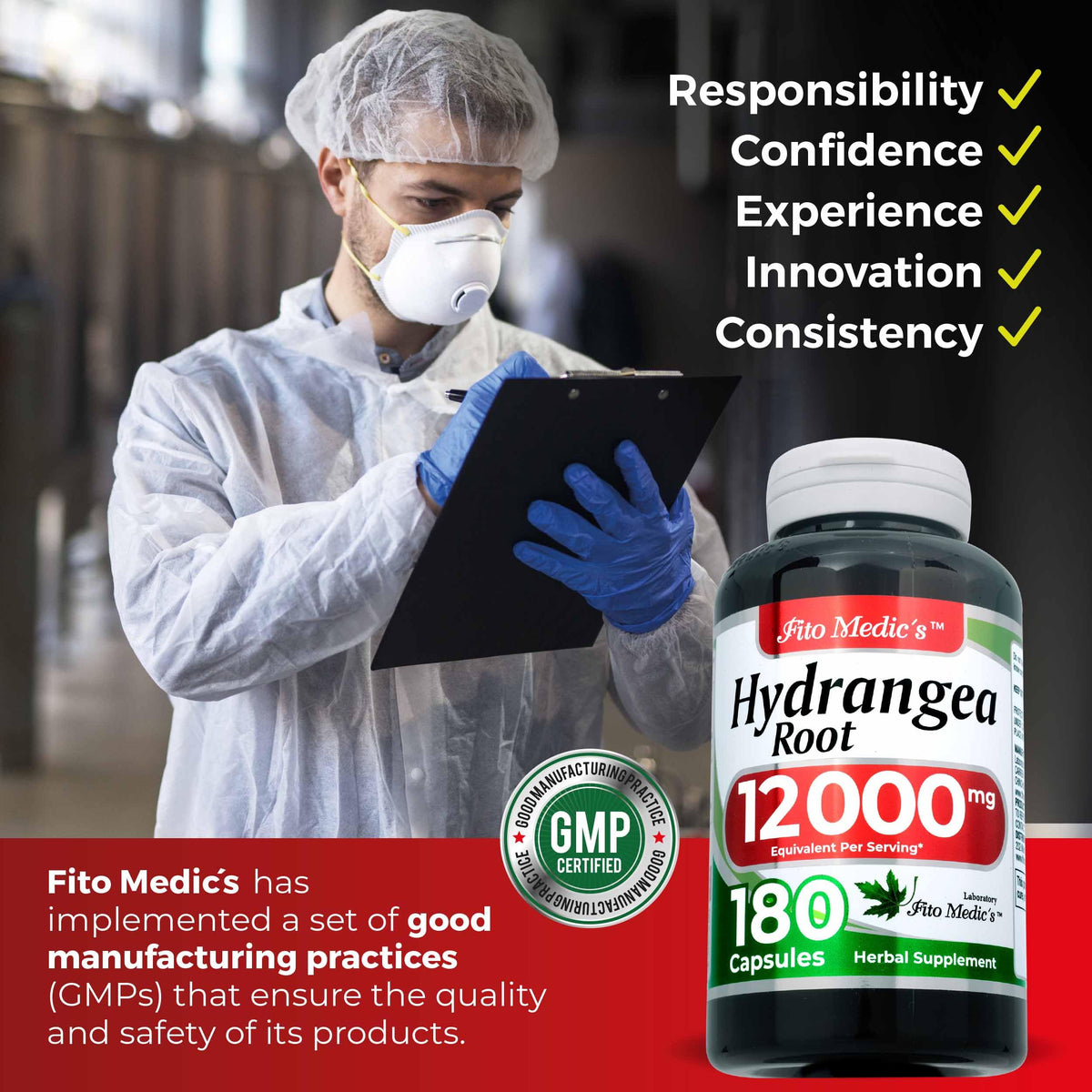 Capsules de racine d'hydrangée FITO MEDIC'S avec un verre d'eau