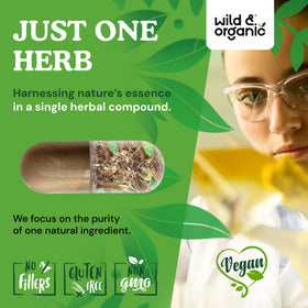 Capsules de racine d'ortie Wild & Organic avec décor naturel