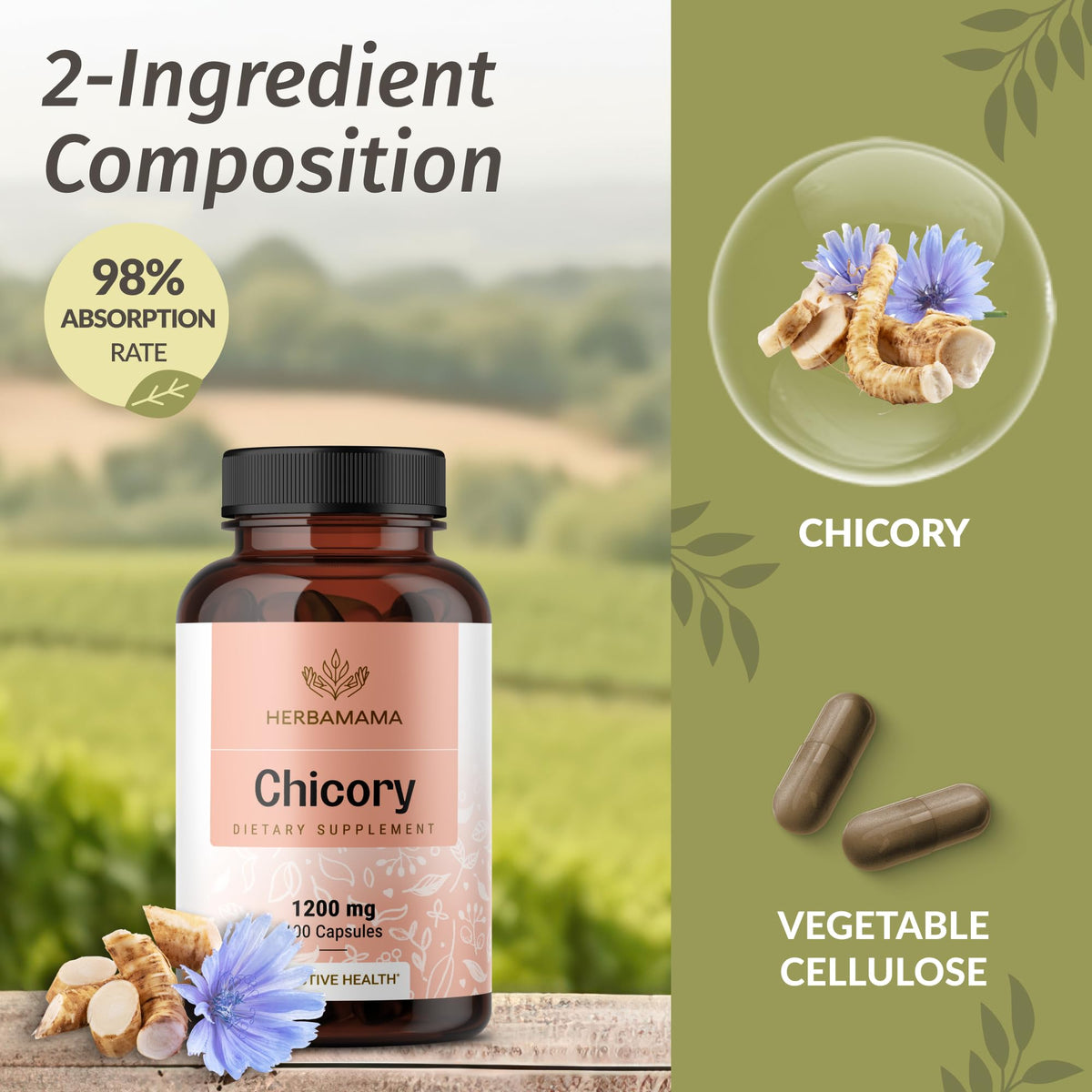 Capsules de racine de chicorée HERBAMAMA avec un verre d'eau
