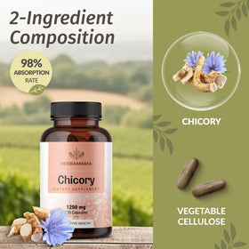Capsules de racine de chicorée HERBAMAMA avec un verre d'eau