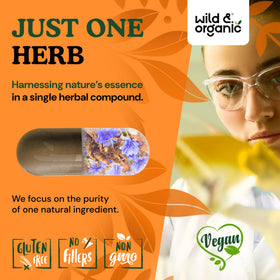 Capsules de racine de chicorée Wild & Organic, prise en main