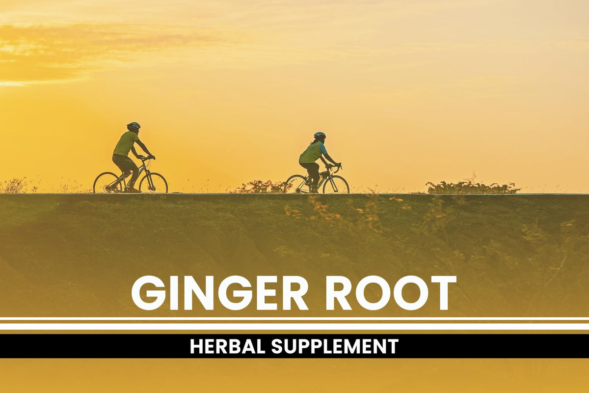 Capsules de racine de gingembre PURE ORIGINAL INGREDIENTS, prise en main