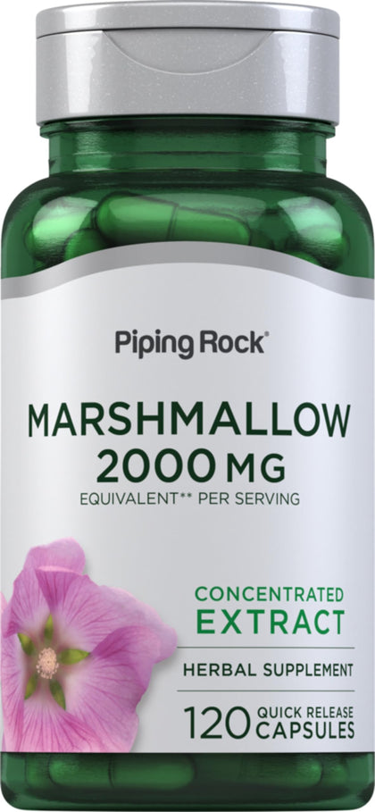 Capsules de racine de guimauve Piping Rock en bouteille vue de face