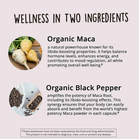 Capsules de racine de maca bio sur une surface en bois