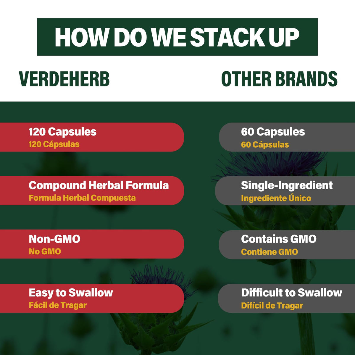 Capsules de racine de salsepareille Verdeherb dans une main