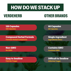 Capsules de racine de salsepareille Verdeherb dans une main