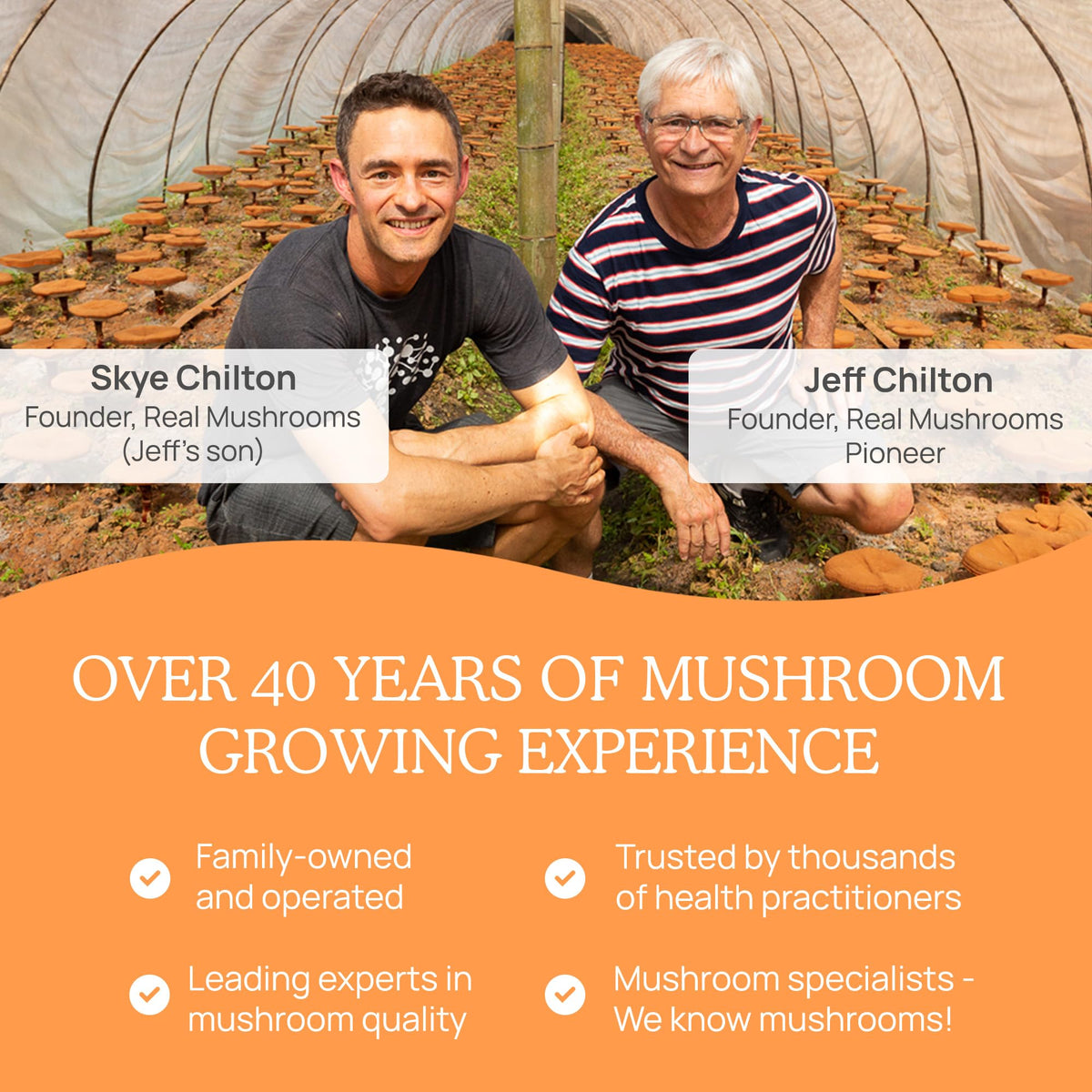 Capsules de Real Mushrooms sur une table avec des herbes