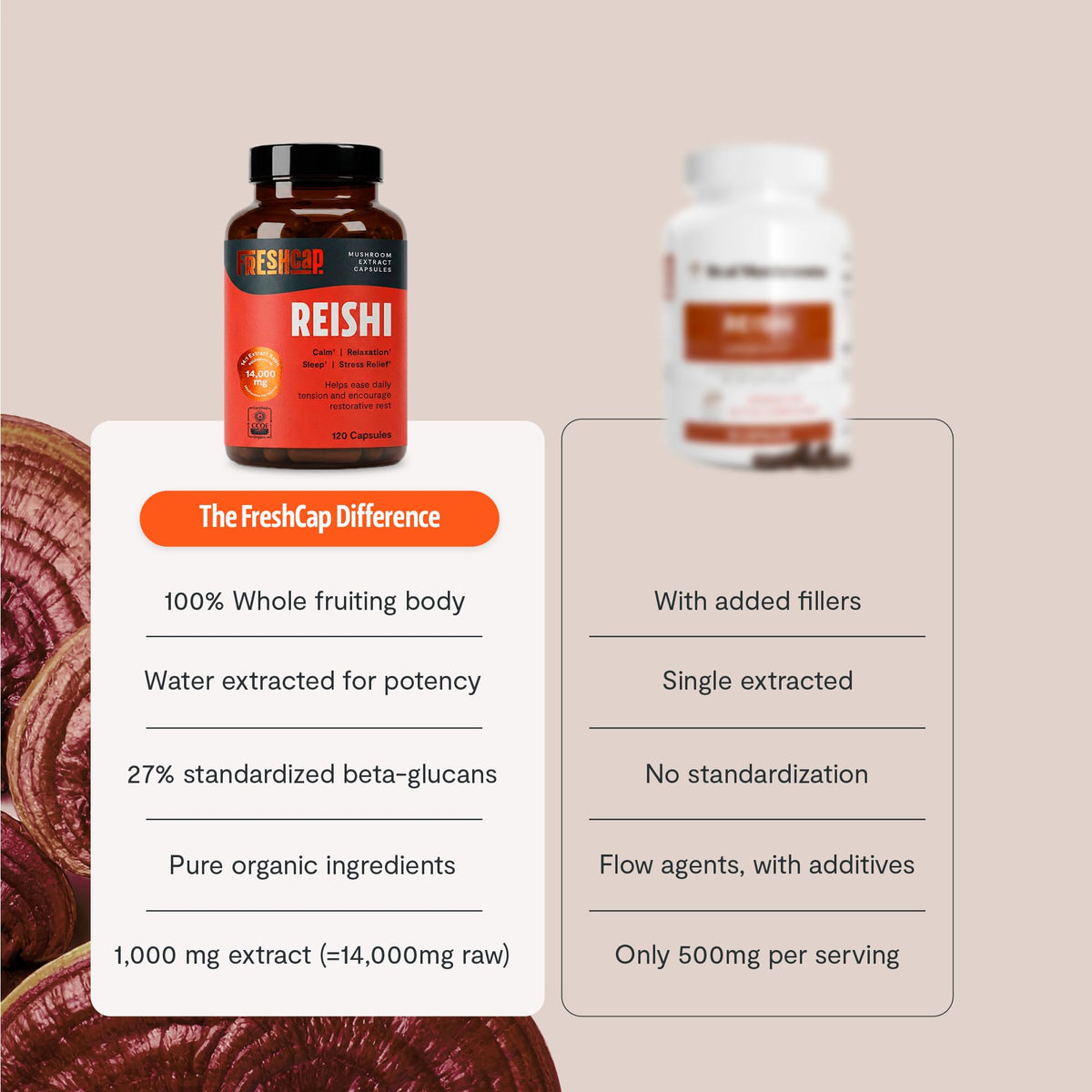 Capsules de Reishi bio FreshCap Mushrooms dans la main