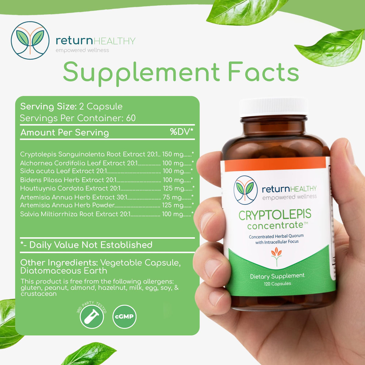 Capsules de Return Healthy Concentré de Cryptolepis sur une table