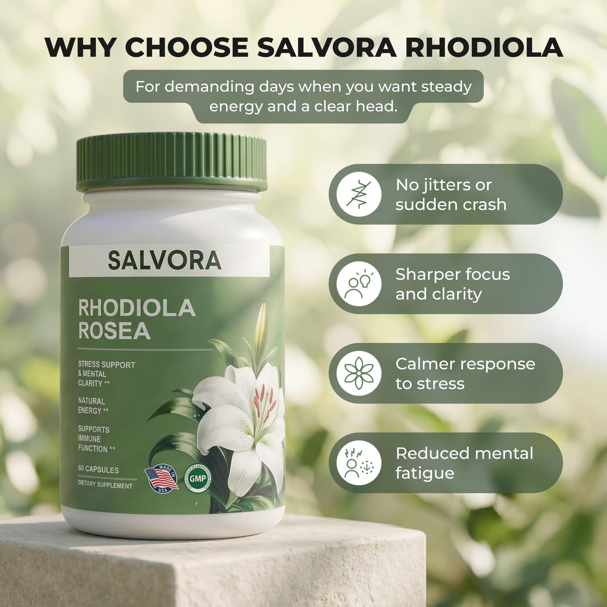 Capsules de Rhodiola Rosea Salvora dans une main