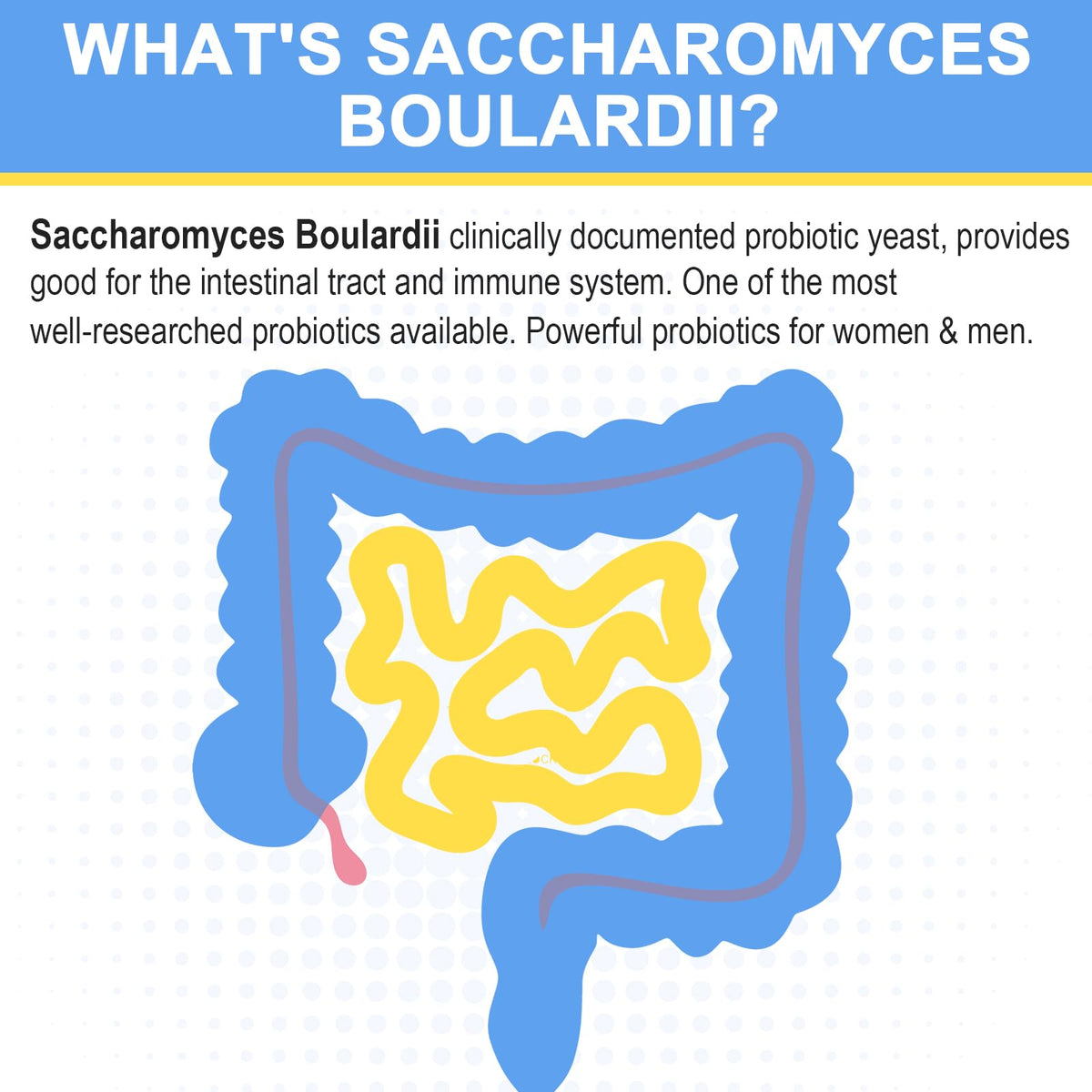 Capsules de Saccharomyces Boulardii Trehealtt, présentation des capsules