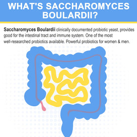 Capsules de Saccharomyces Boulardii Trehealtt, présentation des capsules