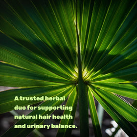 Capsules de Saw Palmetto sur une surface en bois