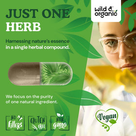 Capsules de Saw Palmetto Wild & Organic avec verre d'eau