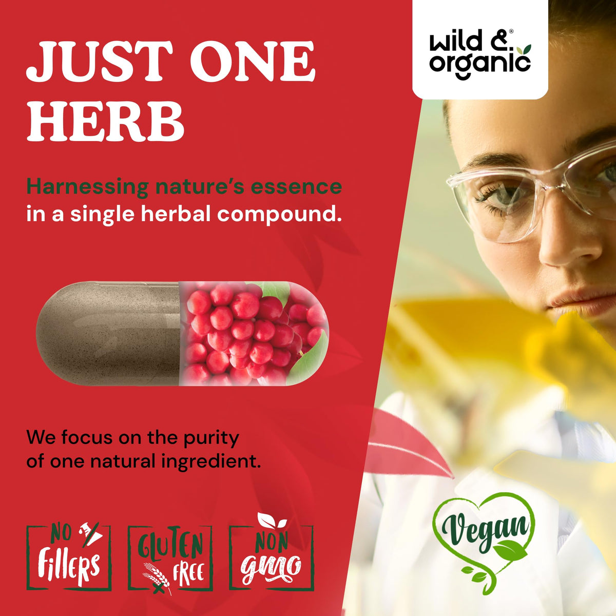 Capsules de Schisandra Wild & Organic dans une main