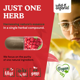 Capsules de Schisandra Wild & Organic dans une main