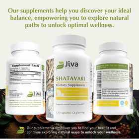 Capsules de Shatavari Jiva Botanicals dans une main