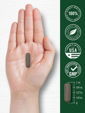 Capsules de Shilajit Carlyle dans un environnement naturel